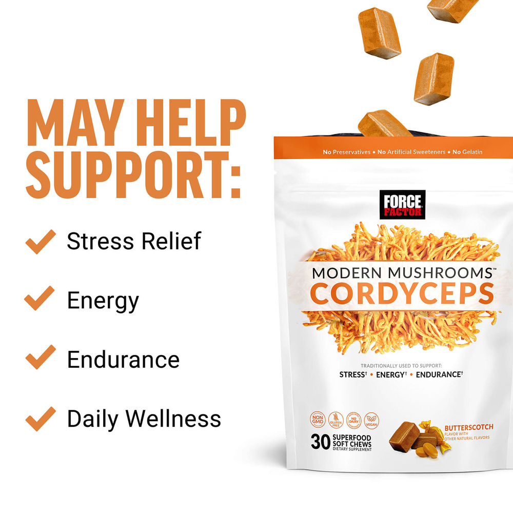 Force Factor, Modern Mushrooms ™, кордицепс, ириска, 300 мг, 30 мягких жевательных таблеток