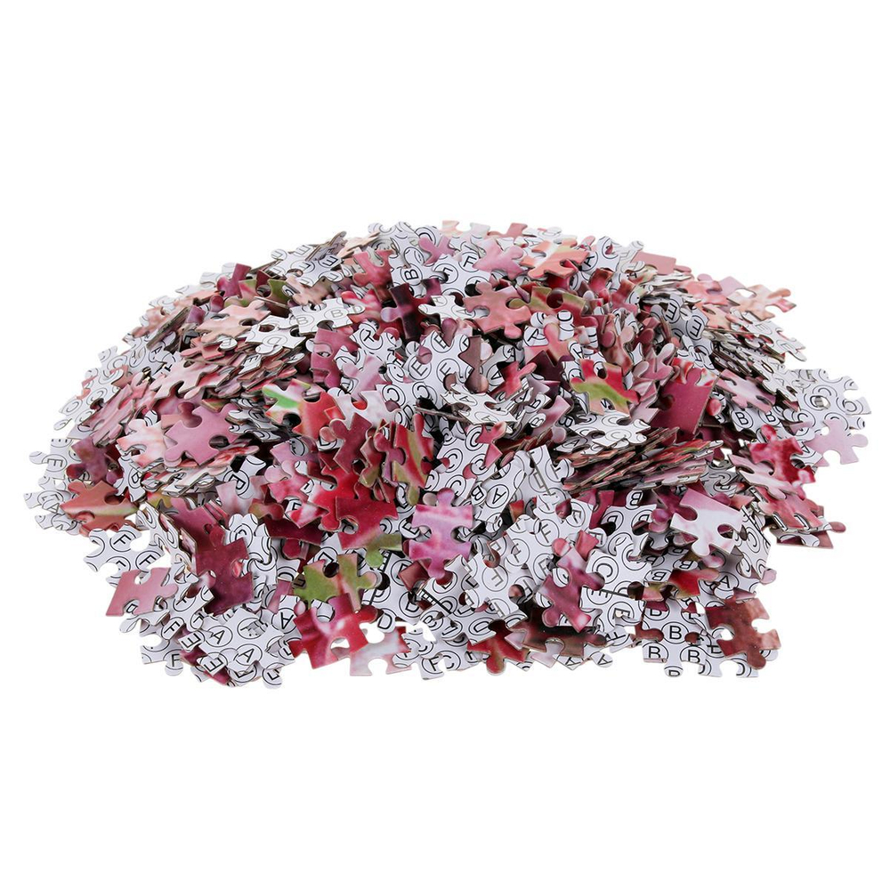 Пазл Дома 1000эл., коробка C-42109