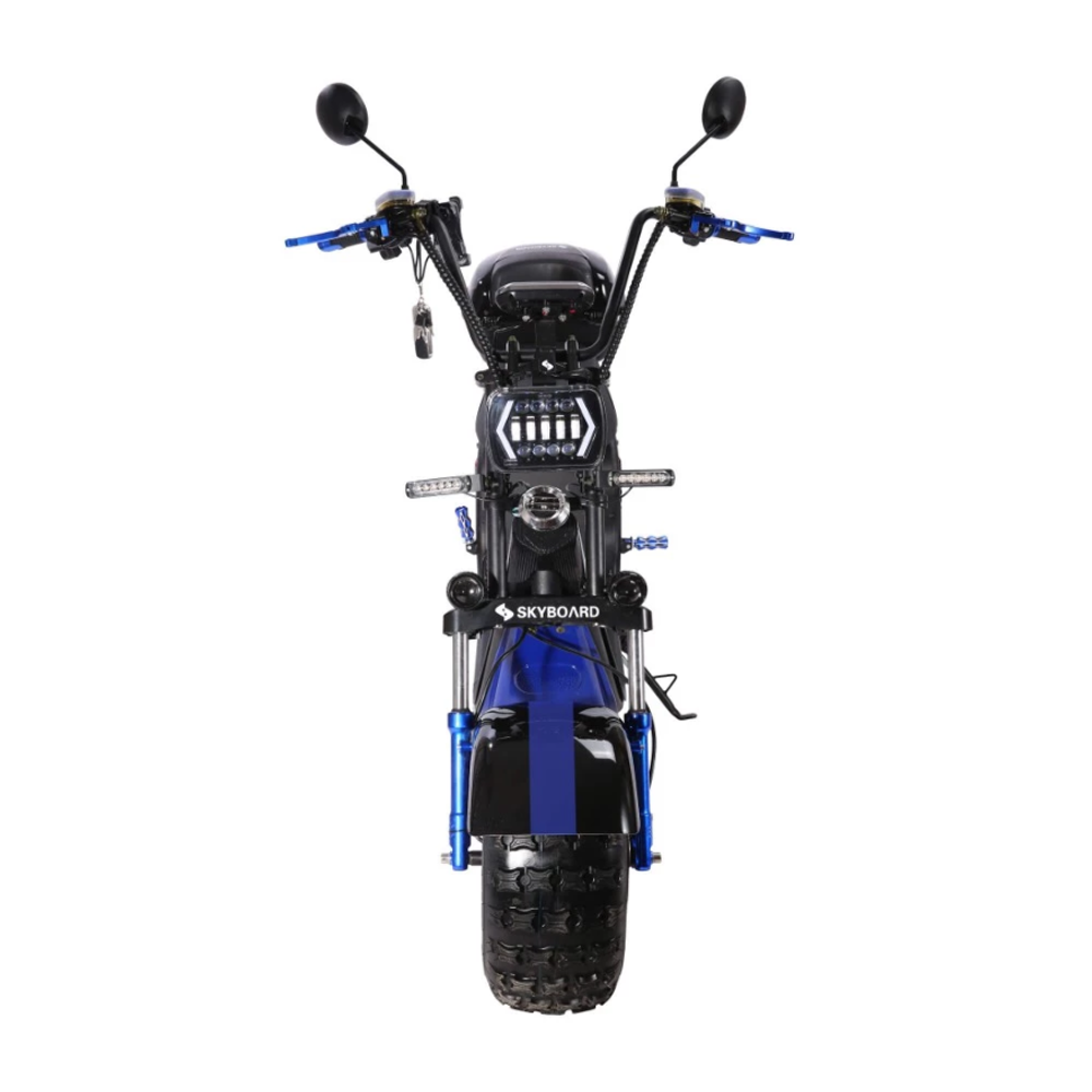 Электроскутер Skyboard Volga BR20 2WD 4000W CityCoco Черный