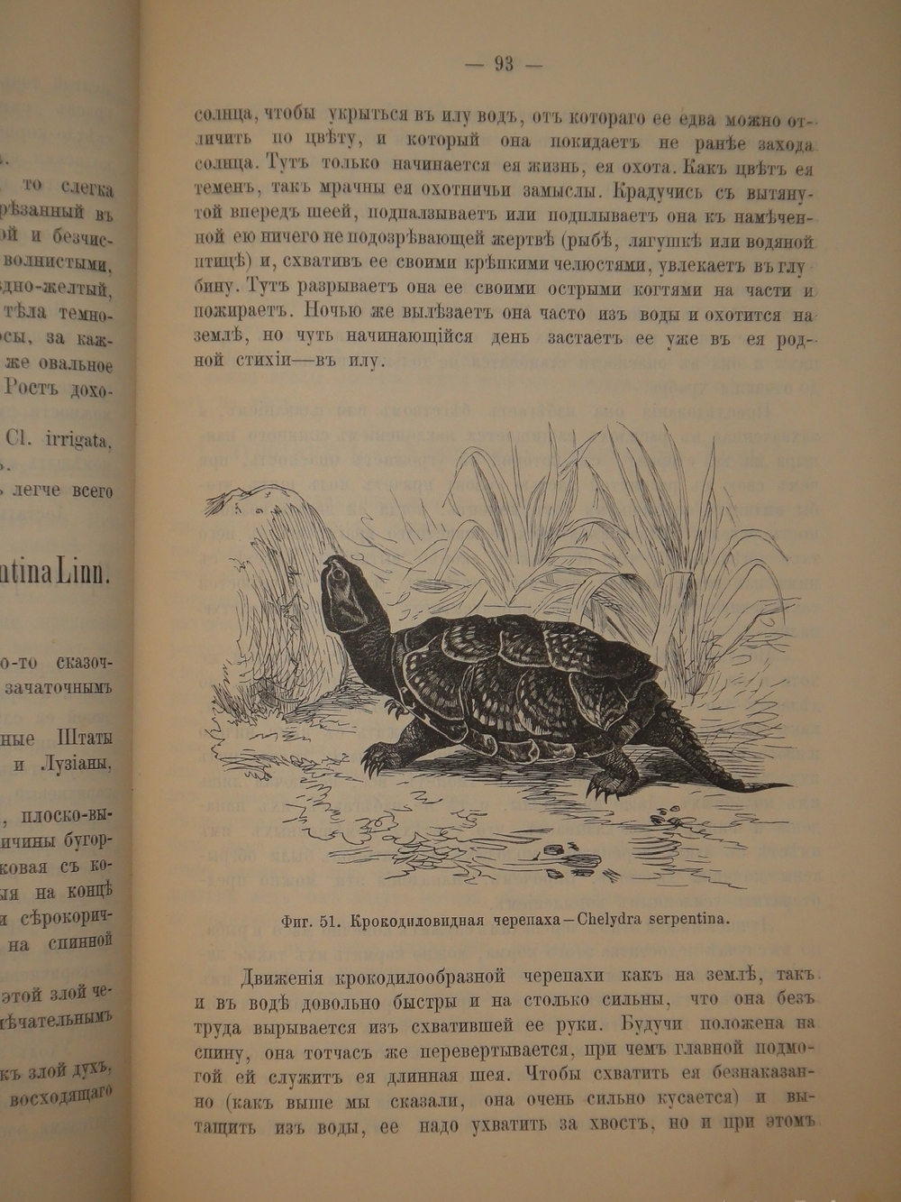 "Аквариум любителя. Подробное описание флоры и фауны аквариума, устройство аквариума, уход за ним и пр.". Н.Ф.Золотницкий. 1890г.