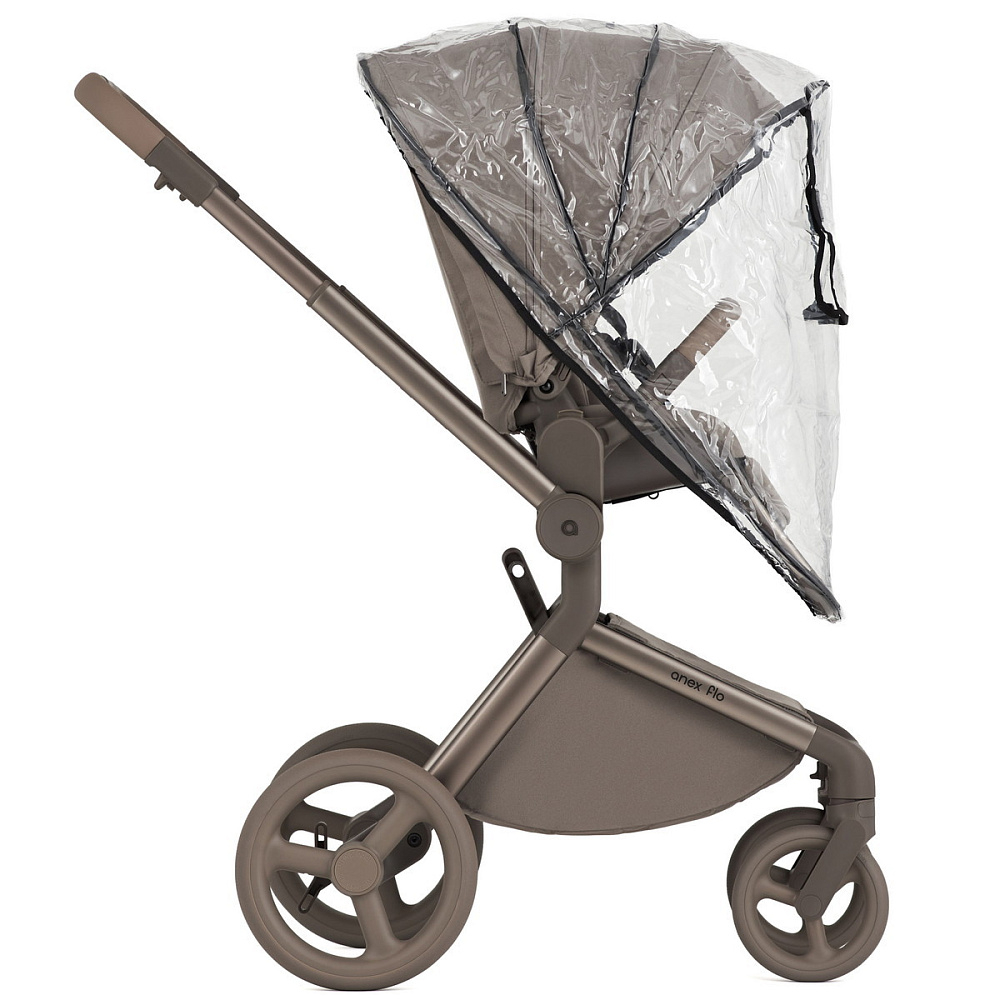 Детская коляска Anex Flo 2 в 1 Yuki