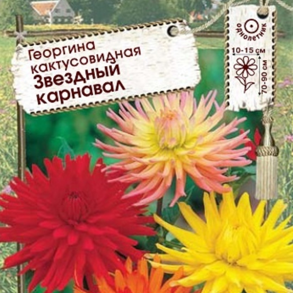 Георгина кактусовидная Звёздный карнавал смесь