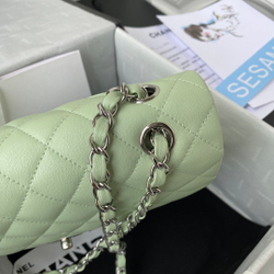Chane1 Classic Flap Bag 25 cm