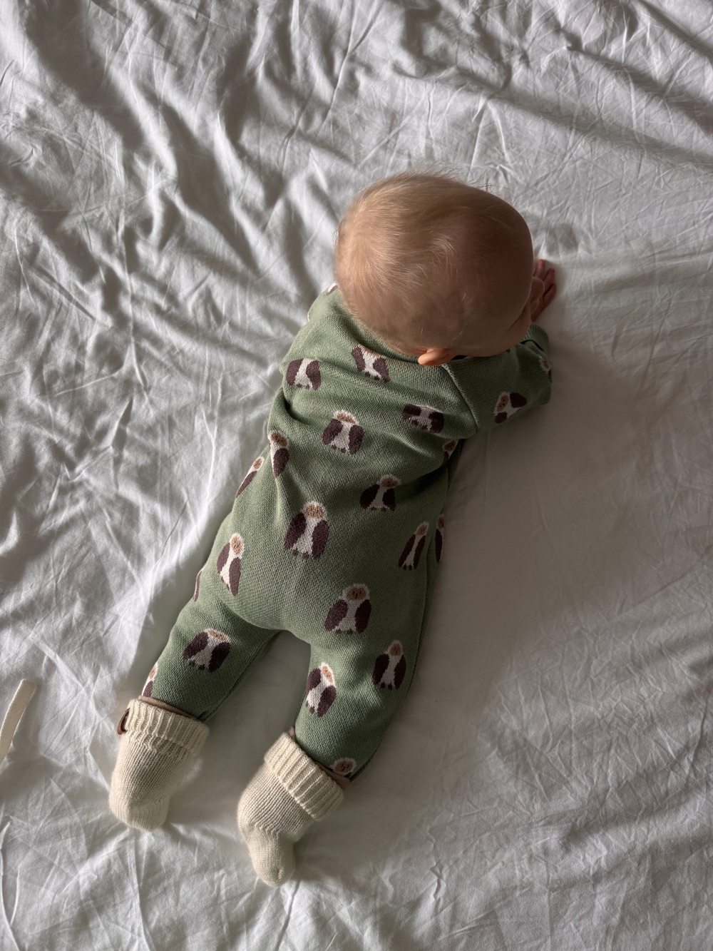 7055-338 Комбинезон вязаный (совы)