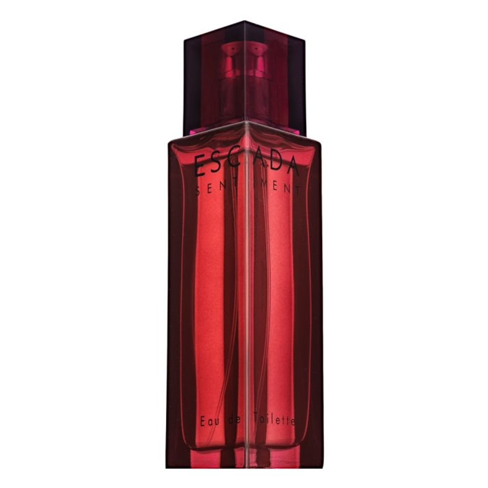 Escada Sentiment pour Homme EDT M 100 ml