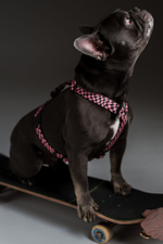 Шлейка Мой 2007-й, наличие