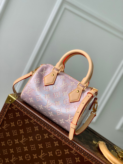 Louis Vuitton Speedy 20