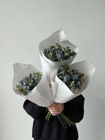 Охапка оксиеталума в голубом оттенке 10 шт