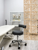 Ширма перегородка для зонирования