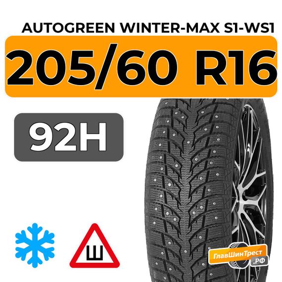 Autogreen Winter-Max S1-WS1 205/60 R16 92H шип