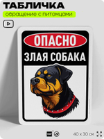 Табличка "Опасно, злая собака" на дверь и забор, для двора, дома, подъезда, 40х30 см, Silver Plane x Айдентика Технолоджи