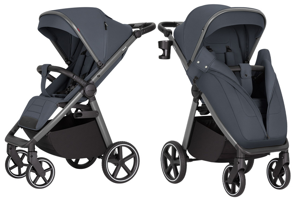 Детская коляска CARRELLO Bravo CRL-5520 Deluxe Thunder Grey