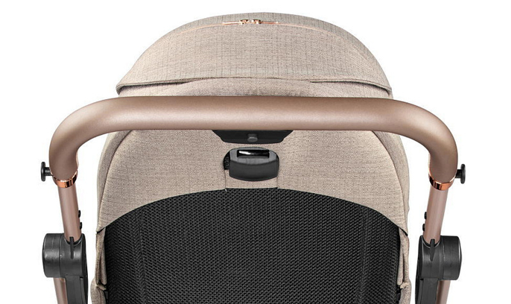 Коляска 2 в 1 Peg Perego Vivace New Culla Flex Mon Amour