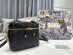 Christian Dior Small DiorTravel Vanity Case