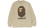 Толстовка A BATHING APE FW22 logo T, 1I80-111-012