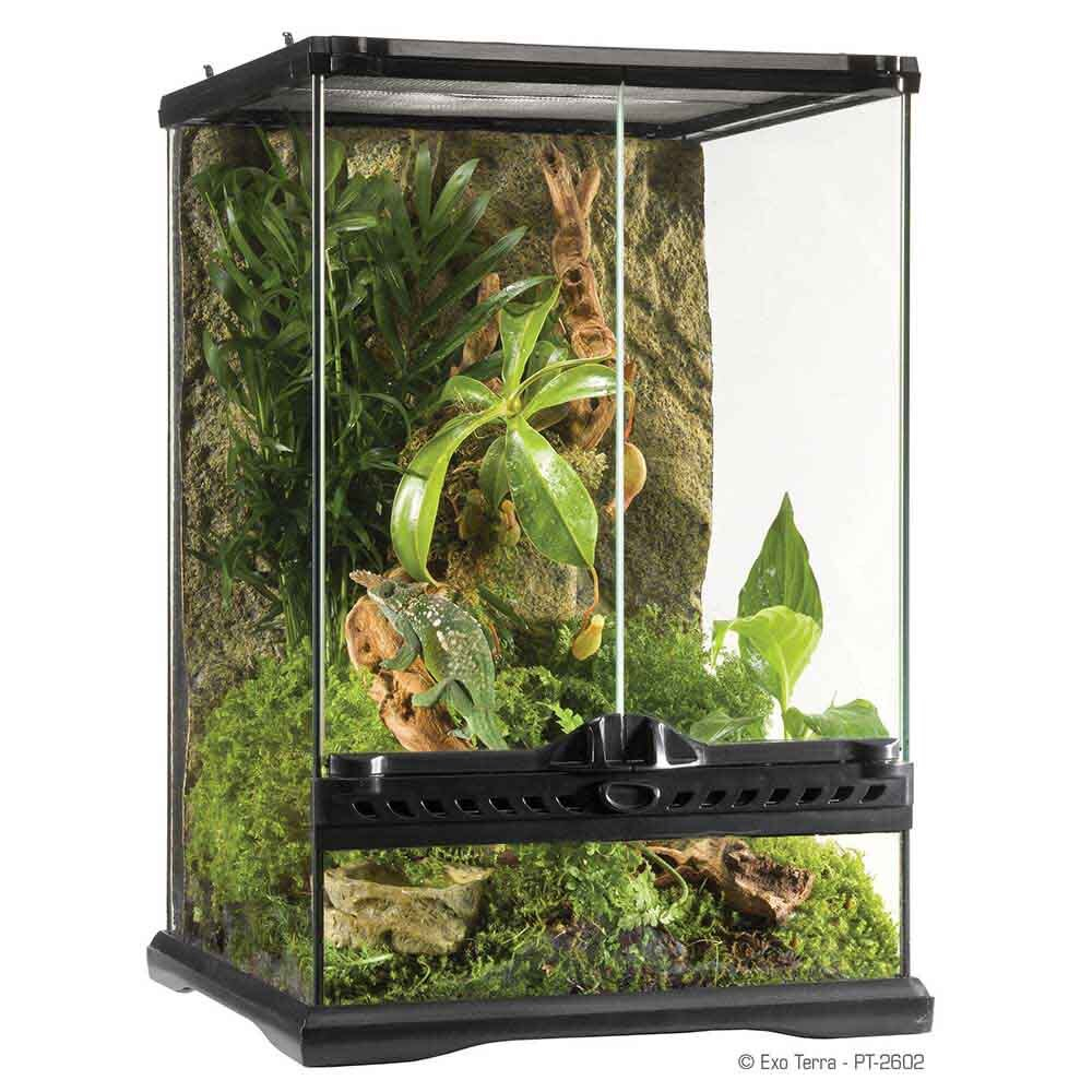 Hagen Exo Terra Terrarium Mini/Tall - террариум из стекла 30х30х45см с дверцами, покровной сеткой и декоративным фоном