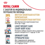 Royal Canin British Shorthair Adult Корм консервированный в соусе для взрослых кошек 85г