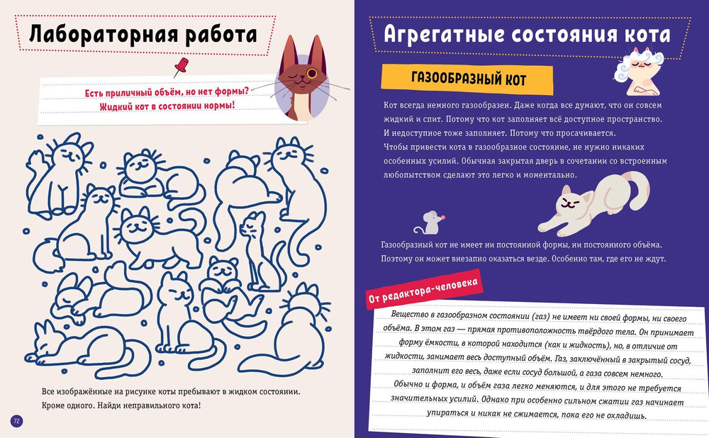 Котофизика