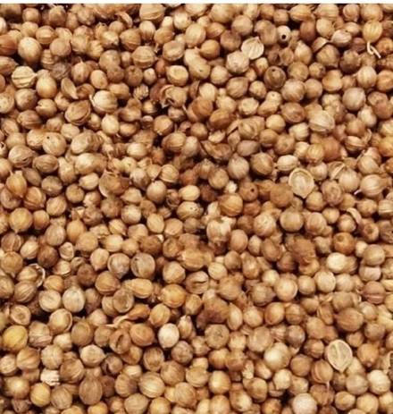 Кориандр зерно Россия В/С 100 гр