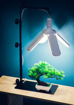 Фитолампа Фулл комфорт Лепесток 4, 24 Ватт, Е27