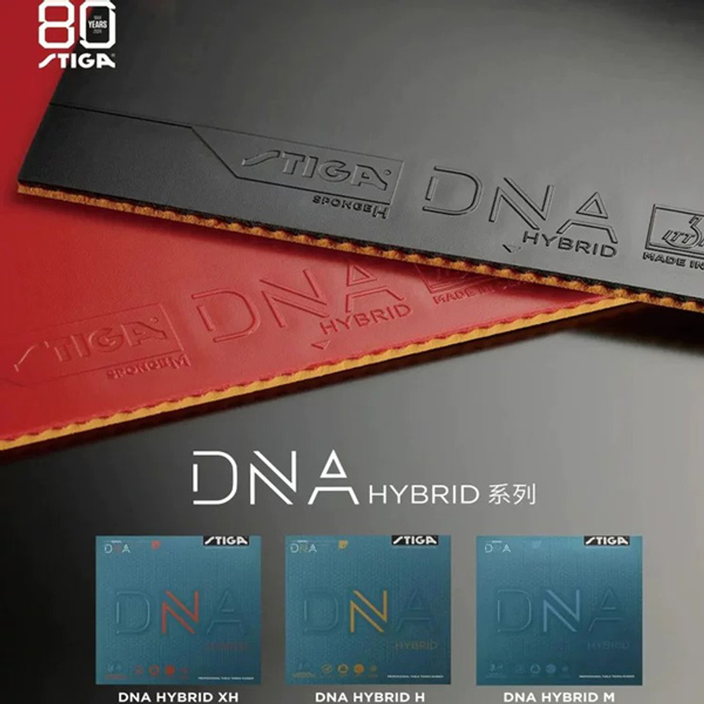 Stiga DNA HYBRID