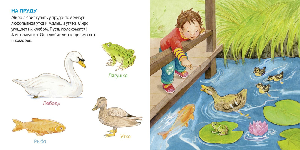 Книжки-картонки. Я учусь говорить. Животные