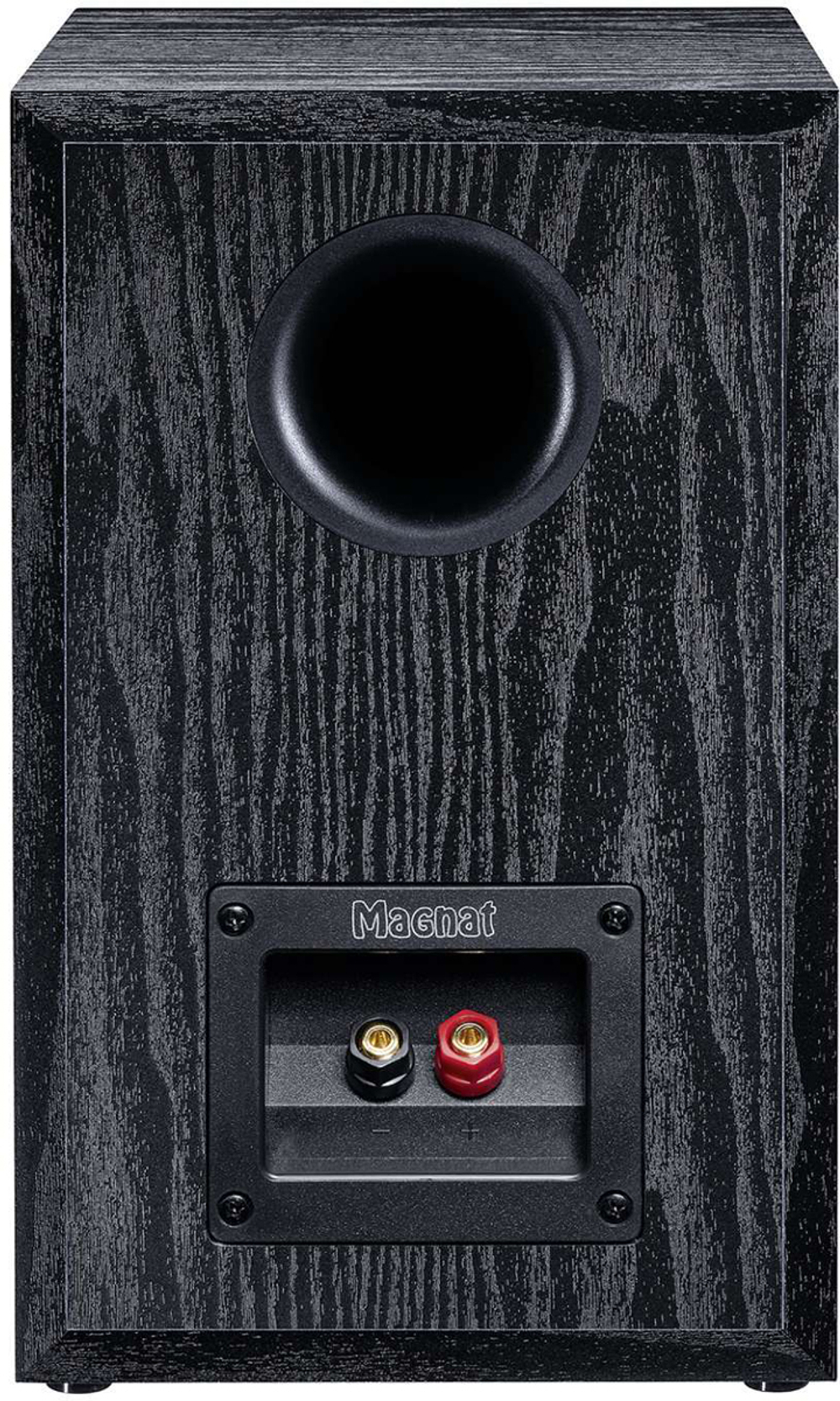 Magnat Monitor Active 2000, полочная активная акустическая система