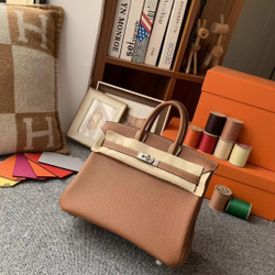 Hermes Birkin 25