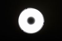 Портретная тарелка Grifon RF-550s