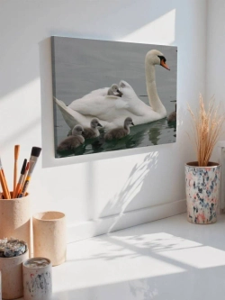 Картина на стену 40 X 50 Лебедь с детенышами