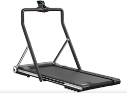 Беговая дорожка TAKARA YP-Mini Change