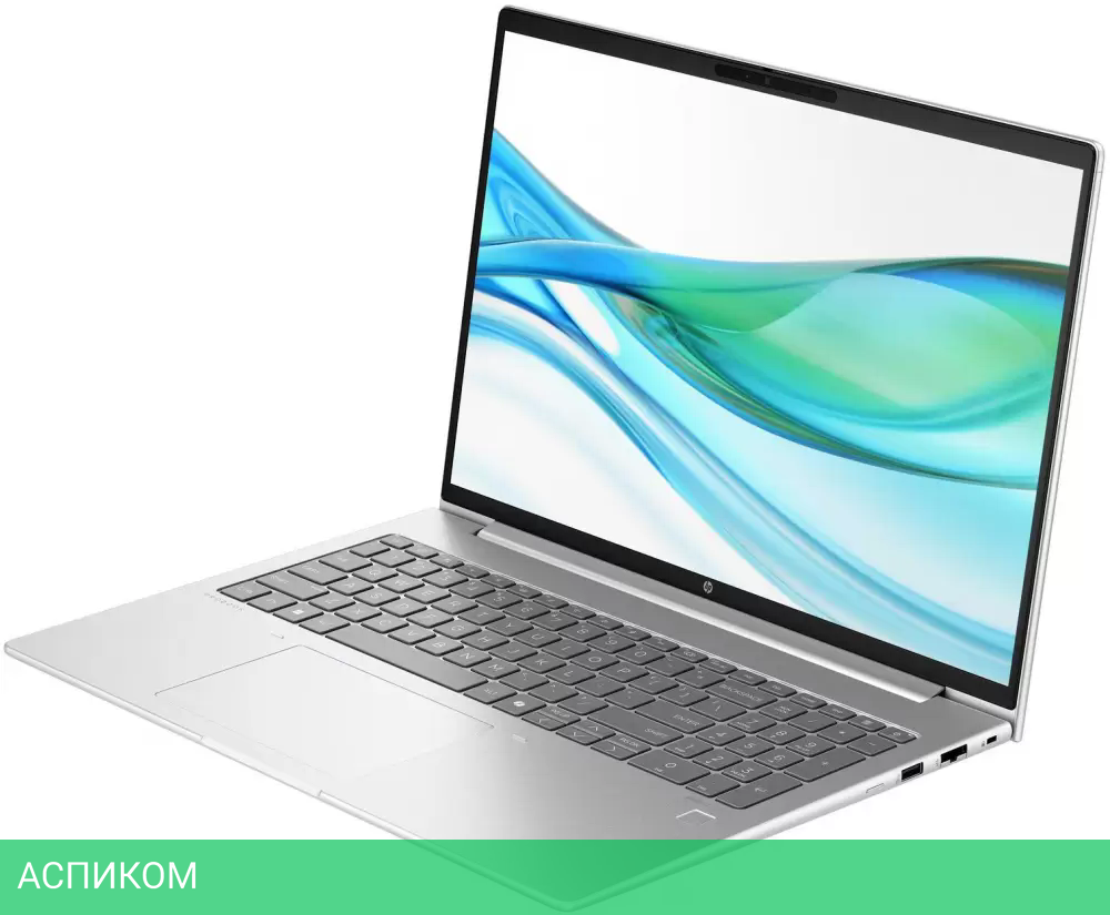 Ноутбук HP Probook 465 G11 (901H4AV)
