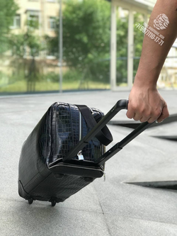 Дорожная сумка на колесах Brioni