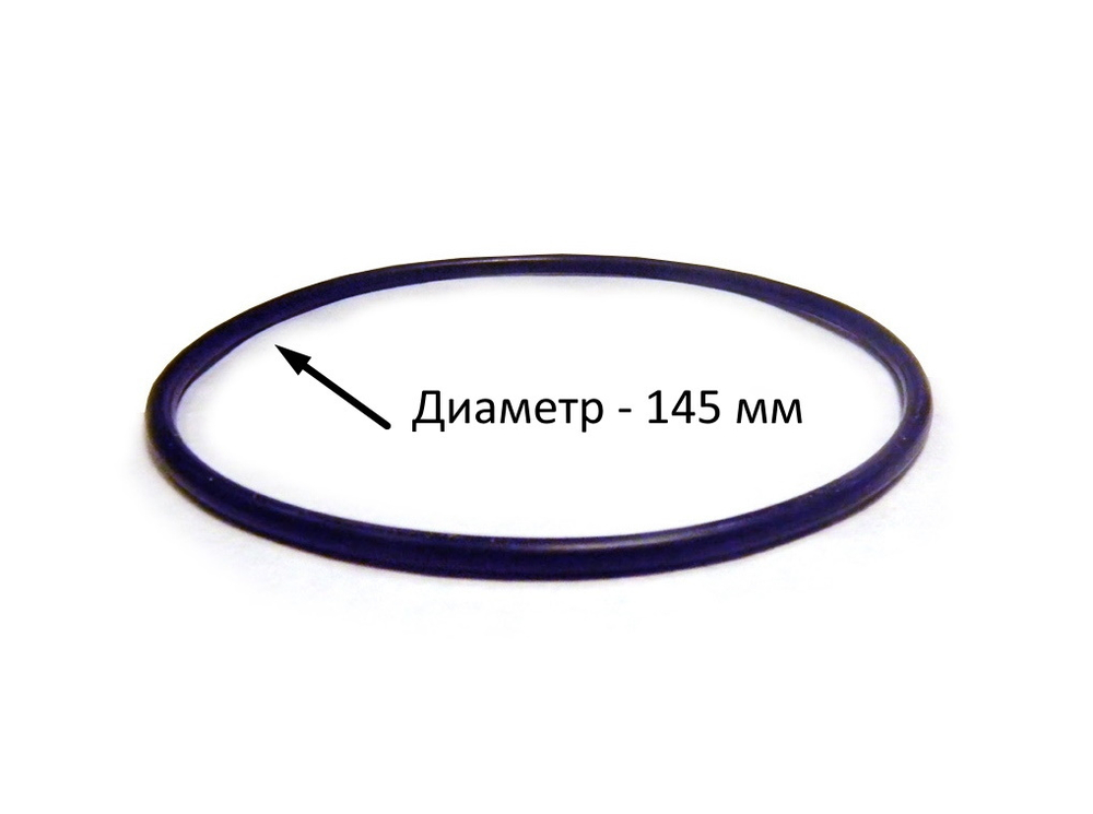 Кольцо уплотнительное для корпуса Гейзер BB