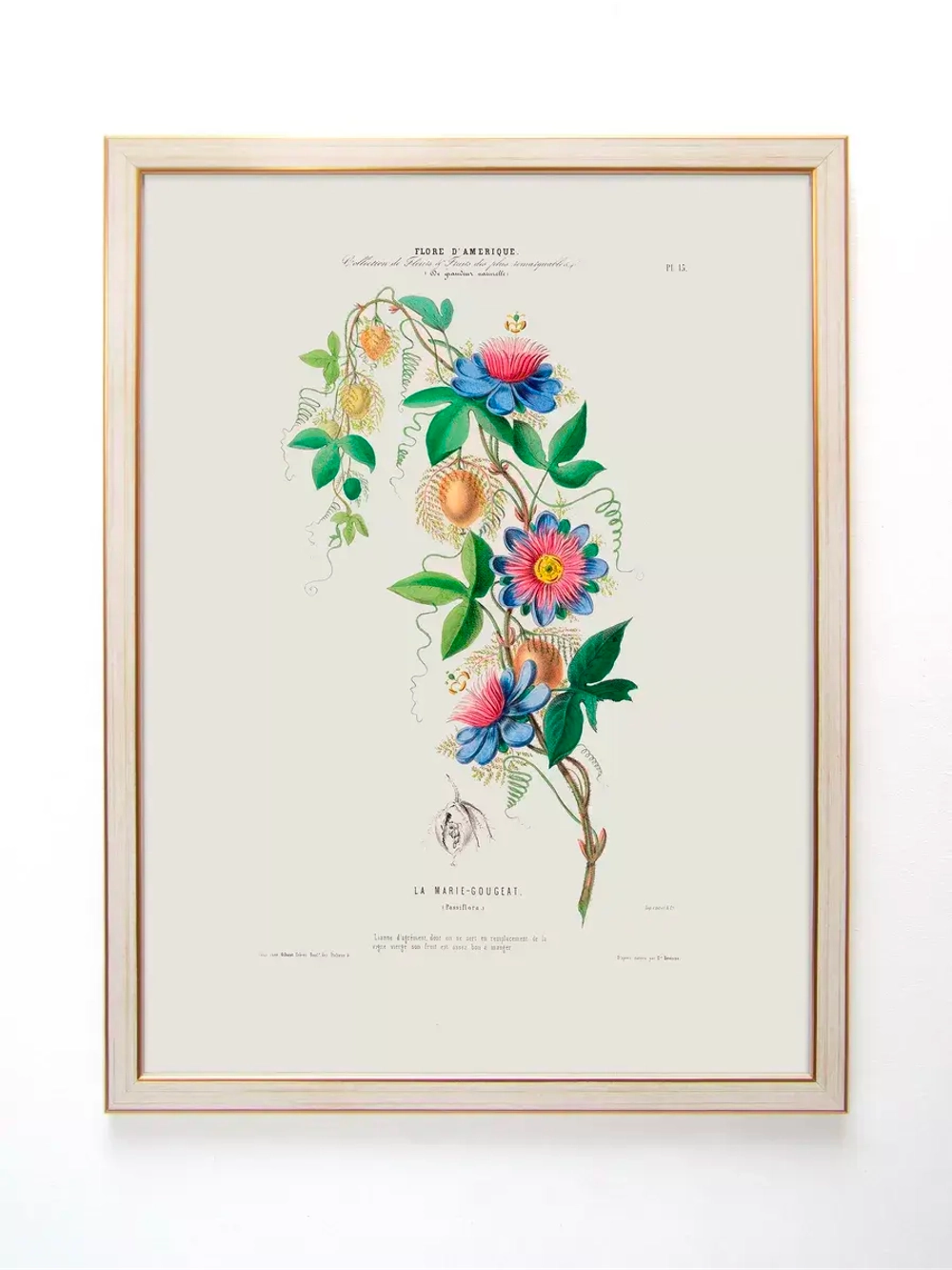 Постер настенный в багетной раме "Ботаника" 42*32 см