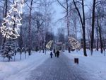Светодиодная конструкция «Ель склонившаяся»