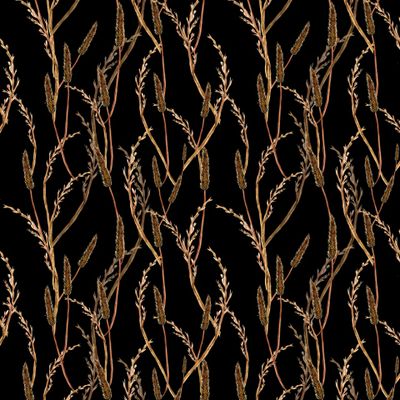 паттерн из злаков, летние колосья