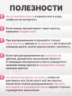 Монстера