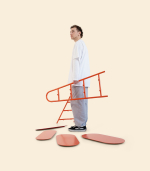 Стеллаж — shiba-inu, вино | pbpb.fun