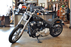 Мотоцикл Harley-Davidson Softail Standard 2022