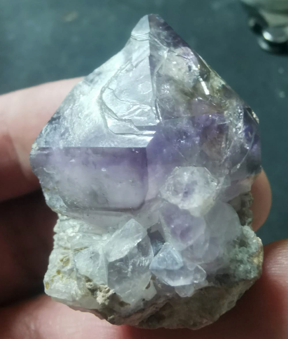 Двухголовик аметист Циммермановка асс.