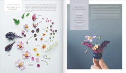 The Little Flower Recipe Book: 148 Tiny Arrangements for Every Season and Occasion