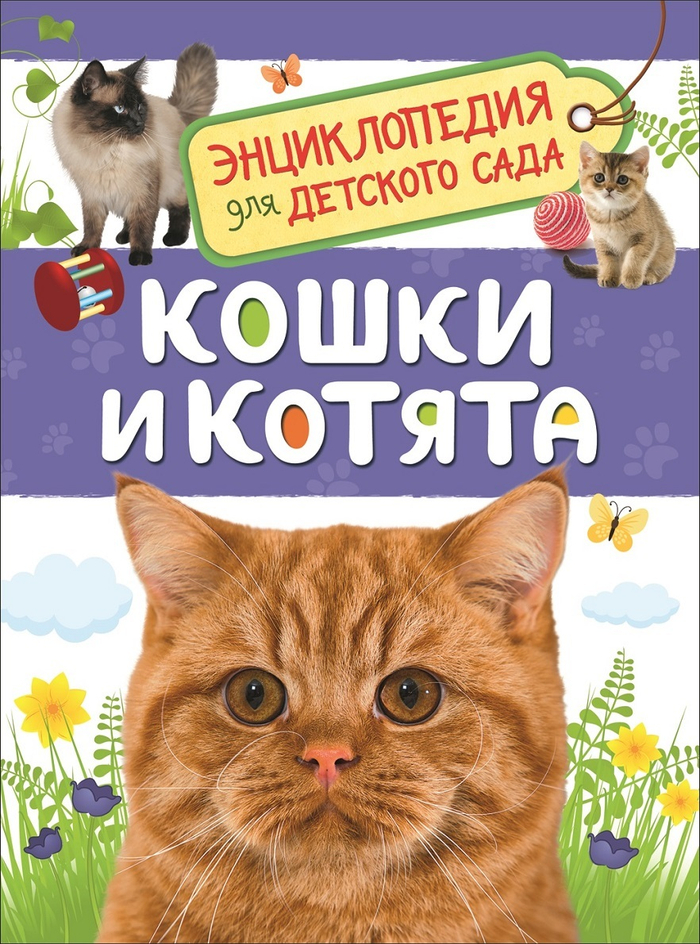 Кошки и котята