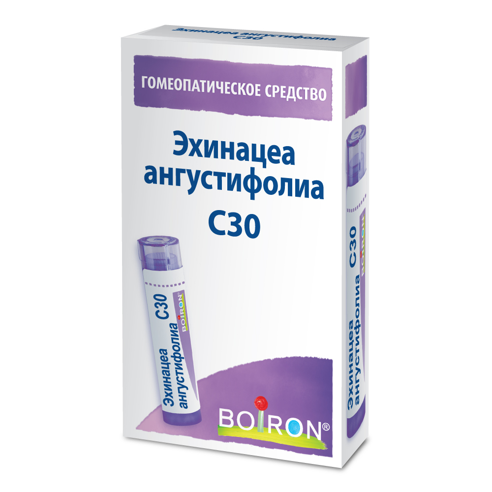 ЭХИНАЦЕА АНГУСТИФОЛИА C30