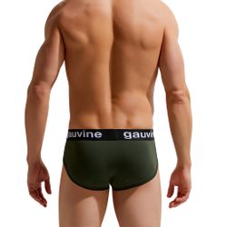 Мужские трусы брифы хаки GAUVINE 2006