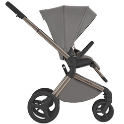 Детская коляска Anex Flo 2 в 1 Charm