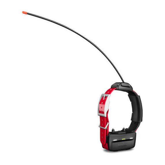 Garmin Alpha TT 15X собачий ошейник