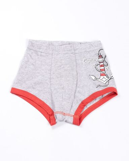 413330 Трусы для мальчика св.серый (146-72-66)