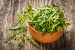 Рукола Триция 0,3г Мировые Семена VITA GREEN