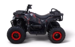 Квадроцикл бензиновый MOTAX GRIZLIK Y300